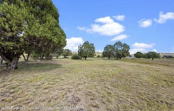 L241 Saddleback Road lot: 241, Alto, NM 88312