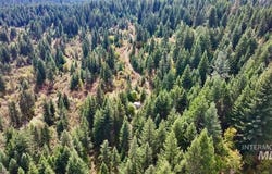 Timber Ridge Drive, Orofino, ID 83544