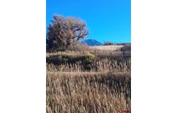 E Grand, La Veta, CO 81055