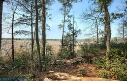 12410 Elizabeth Curtis Lane, Dutton, VA 23061