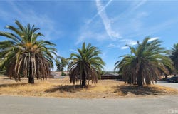 Shrier, Lake Elsinore, CA 92530