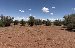 20 N 9160, Concho, AZ 85924