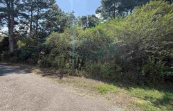 Co Rd 1038, Vinemont, AL 35179