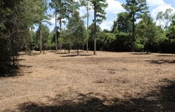 Reserve Drive, Marianna, FL 32446