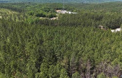 058 Pine Hills Way, Piedmont, AL 36272