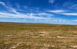 County Road 53, Ault, CO 80610