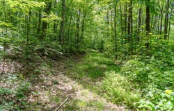 Pressley Ridge Rd, Ohiopyle, PA 15143