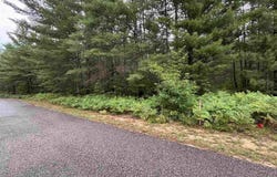 565 & 553 White Pine Drive, Brutus, MI 49716