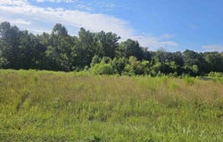 28 Apollo Road, Arab, AL 35016