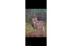 TBD Big Bear Canyon TR lot: 0, Chester, AR 72934