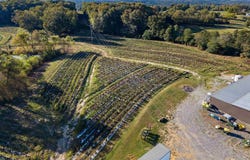 RENEAU ROAD lot: 18, ONEONTA, AL 35121