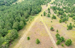 515 Coleman Rd, Fort Gaines, GA 39851