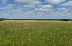 Plateau Drive, Marshfield, MO 65706