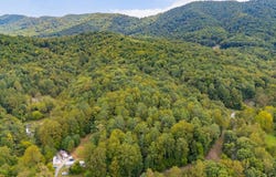 Willow Branch Rd, Boones Mill, VA 24065