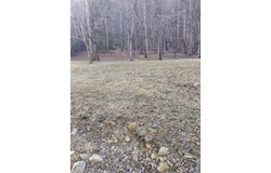 Miller Cove Rd, Catawba, VA 24070