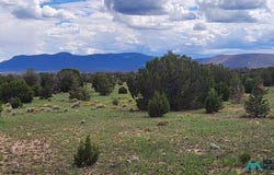 Mangas Road, Datil, NM 87821