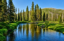 Secesh River Road, Secesh, ID 83547