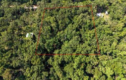 23156 Nutall Rise, Perry, FL 32347