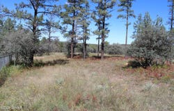 004T Elk Trail, Show Low, AZ 85901