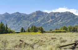 7555 N ROBERTA Drive, Jackson, WY 83001