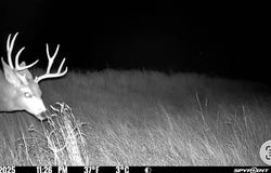 CR 149, Lodgepole, NE 69149
