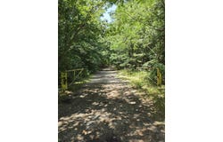 Riverview Rd, De Valls Bluff, AR 72041