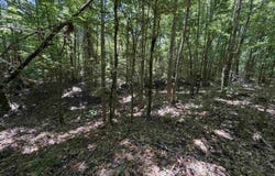 9018 Hwy 64, Overton, TX 75684