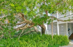 170 Harbor Drive N, St. Helena Island, SC 29920