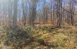 Rotten Road, Equinunk, PA 18417