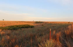 N CR 176, Gage, OK 73843-0000