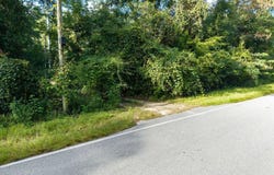 14524 208TH STREET, OBrien, FL 32071