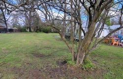 3422 Us 17 Highway S, Chocowinity, NC 27817