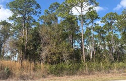 3214 SR-66, SEBRING, FL 33875