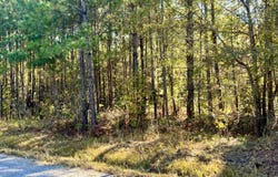 Saint Julian Drive, Cross, SC 29436