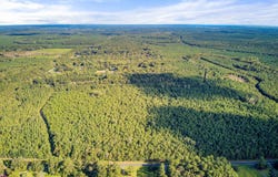 1739 Summers Drive, Ridgeville, SC 29472