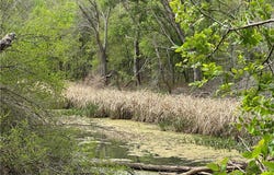 909 FM 712, Marlin, TX 76661
