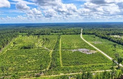Old Forreston Rd., Greeleyville, SC 29056