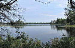 Nevins Lake Drive, Shingleton, MI 49884