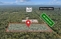 NE 206th Avenue, Old Town, FL 32680