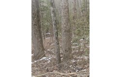 Chandler Road, Easley, SC 29640