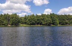 5 AC SYLVAN ISLE DR, Watersmeet, MI 49969