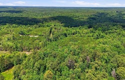 851 OLD BANKHEAD HIGHWAY, CORDOVA, AL 35550