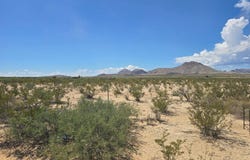 1201 Corzo, Terlingua, TX 79852