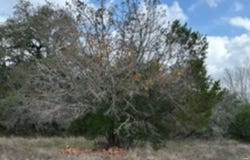 183 Fossil, Spring Branch, TX 78070