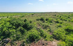 FM 175 Tract #2, Jacksboro, TX 76365