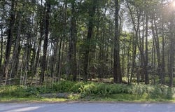 15/16 Sweet Briar Road, Pocono Pines, PA 18350