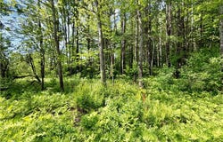 Maples Road, Milford, NY 13348