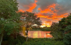 50 Van Dale Road, Eastham, MA 02642