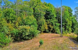 Parcel A, Honor Highway, Honor, MI 49640