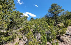 SUNSET Drive, Eagar, AZ 85925